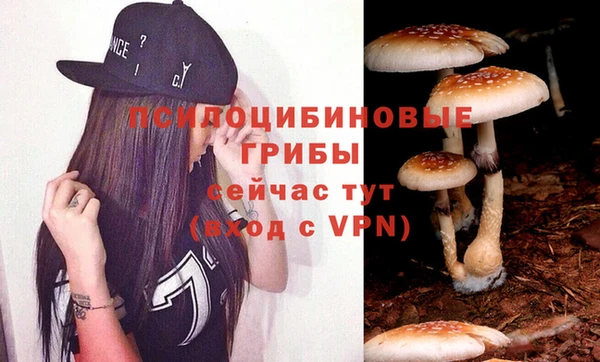 PSILOCYBIN Богородицк