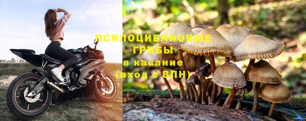 PSILOCYBIN Богородицк
