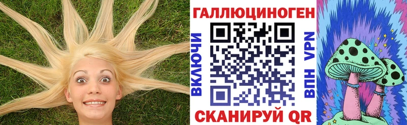 KRAKEN как войти  Нахабино  Галлюциногенные грибы Cubensis  дарнет шоп 