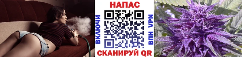 Бошки Шишки AK-47  blacksprut   Нахабино  где продают  